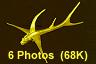 6 Photos (68K)