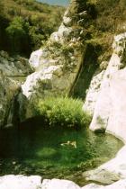 Aguas Calientes (Baja California)