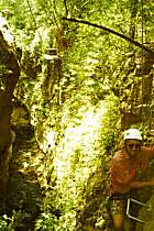 Klettern in einer Dschungelschlucht (11K)