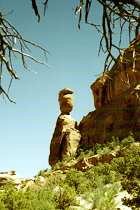 Im Colorado National Monument (7K)
