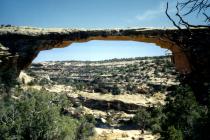 Natural Bridges National Monument