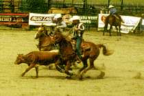 Rodeo in Stewart (7K)