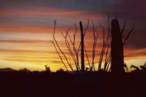Sunset in Arizona