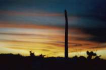 Sonnenuntergang in Arizona
