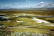 Durch Patagonien (9K)