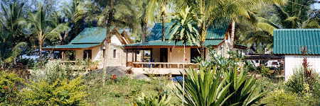 2 Bungalows und eine Garage im Tropengarten (19K) 