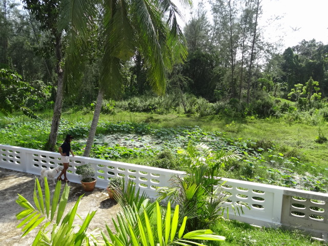 Nature View in Green Garden