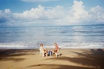 Fruehstueck am menschenleeren Strand (6K)