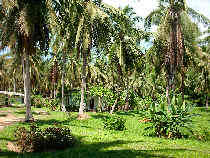 Phu Khao Lak