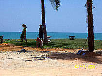 Erste Grassoden am Strand