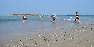 Freiwillige reinigen den Strand