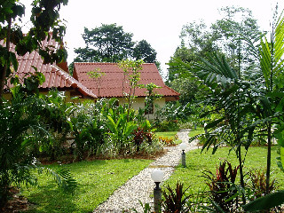 Khao Lak: Riverside Bungalow