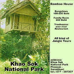 Bamboo House, Khao Sok (16K)