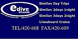 e-dive (5K)